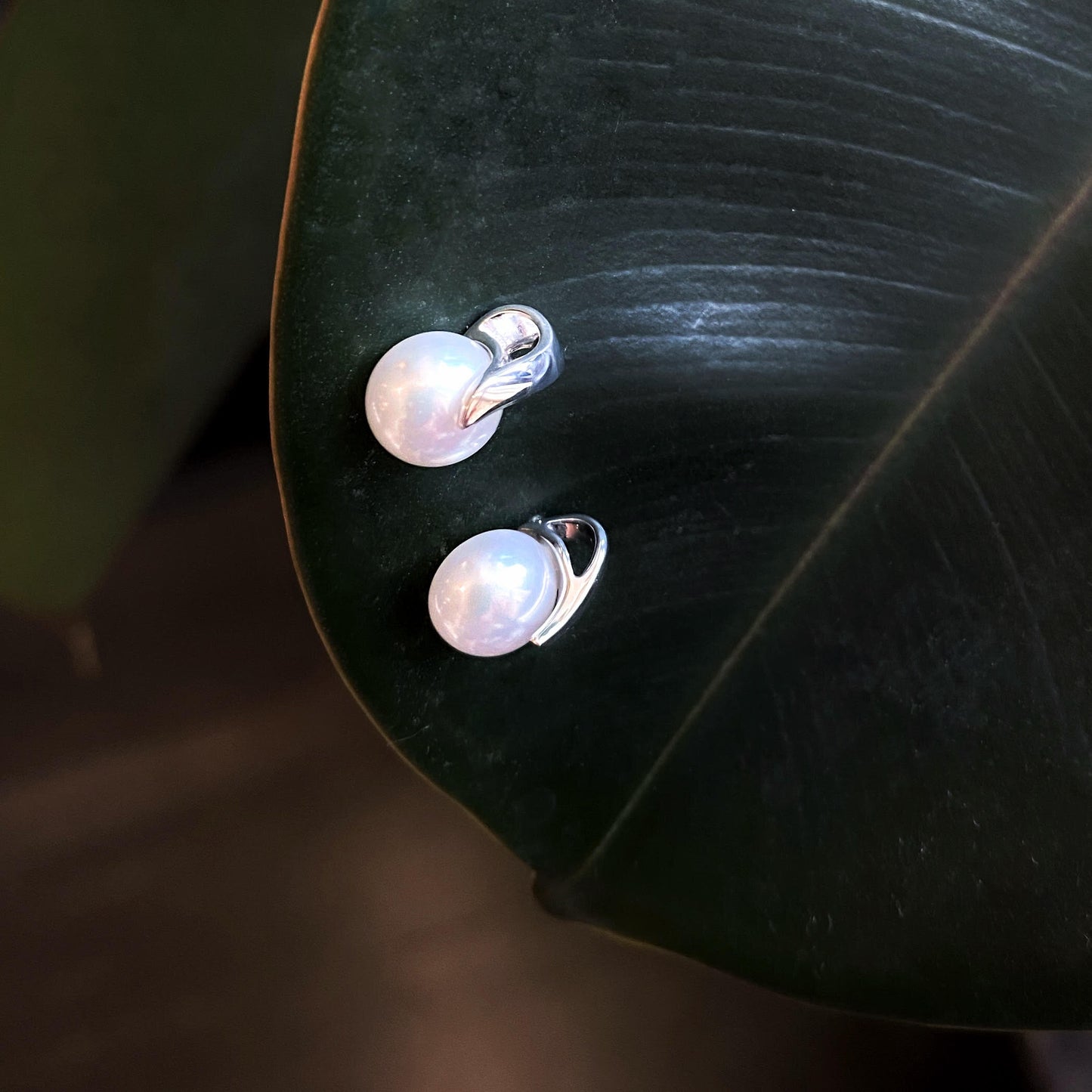 Freshwater Pearl Button Stud