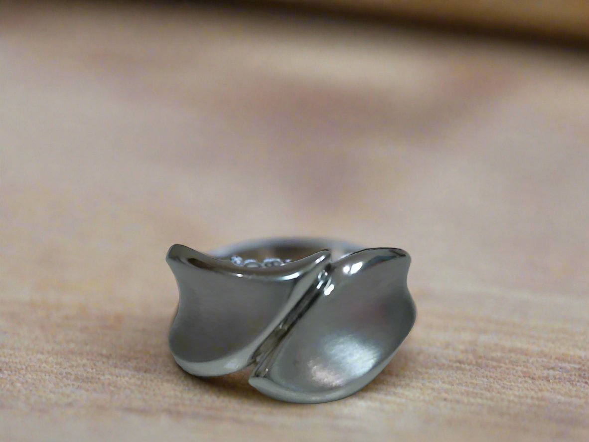 Curved Matte Ring