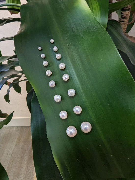 Photo of Akoya Pearl Studs in a decorative scene, designed by , available at Plumb Gold & Plumb Silver