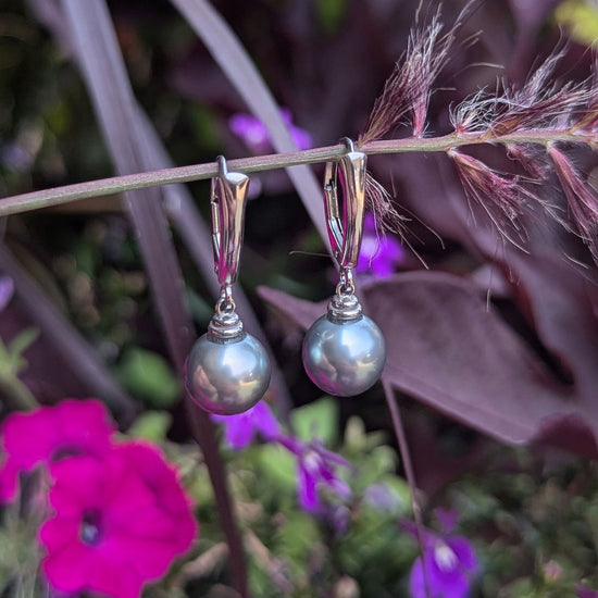 Photo of Grey Tahitian Pearl dangles in a decorative scene, designed by , available at Plumb Gold & Plumb Silver