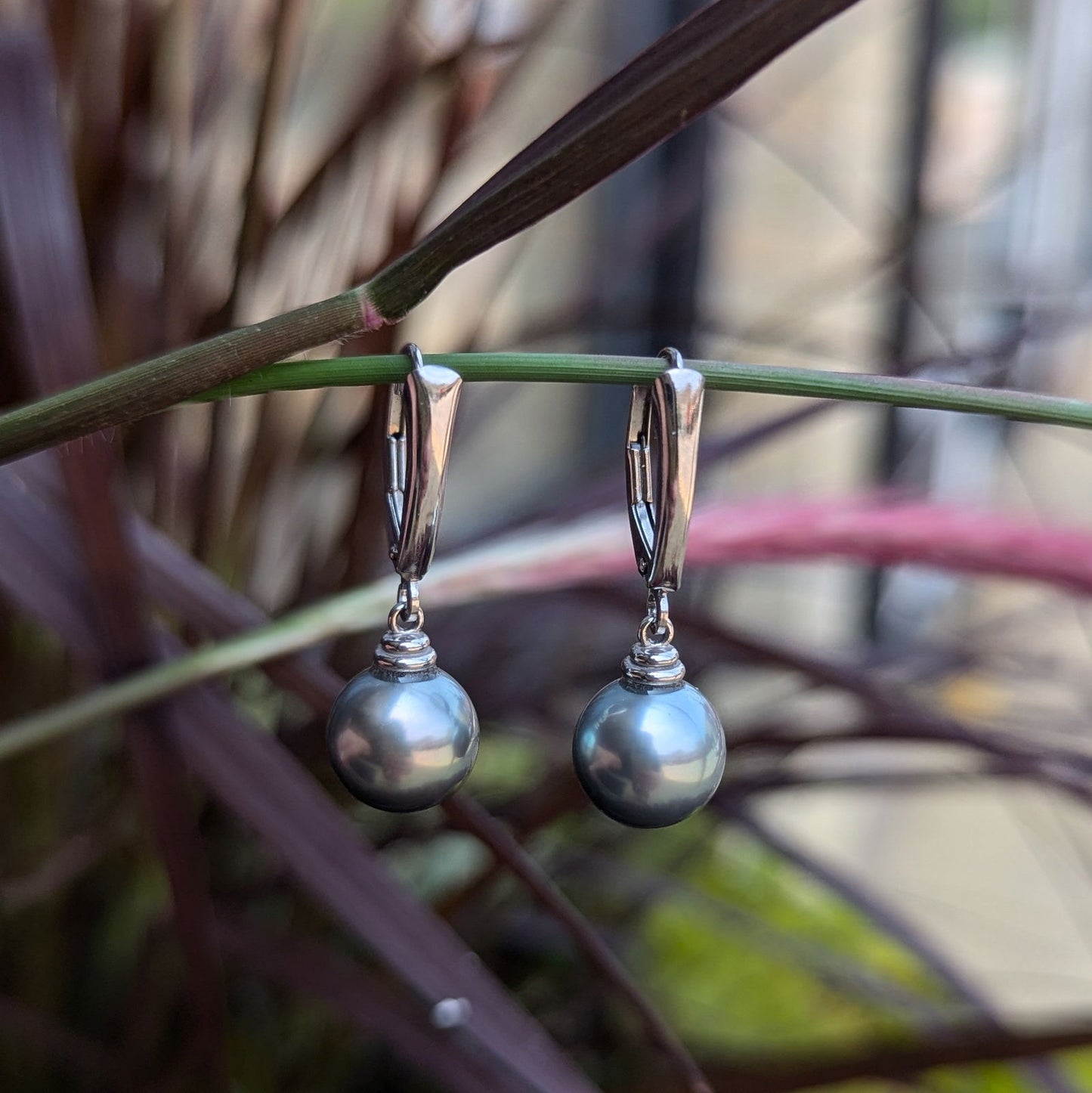 Photo of Grey Tahitian Pearl dangles in a decorative scene, designed by , available at Plumb Gold & Plumb Silver