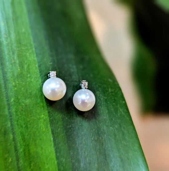 Photo of Pearl and Diamond Stud Earrings in a decorative scene, designed by , available at Plumb Gold & Plumb Silver