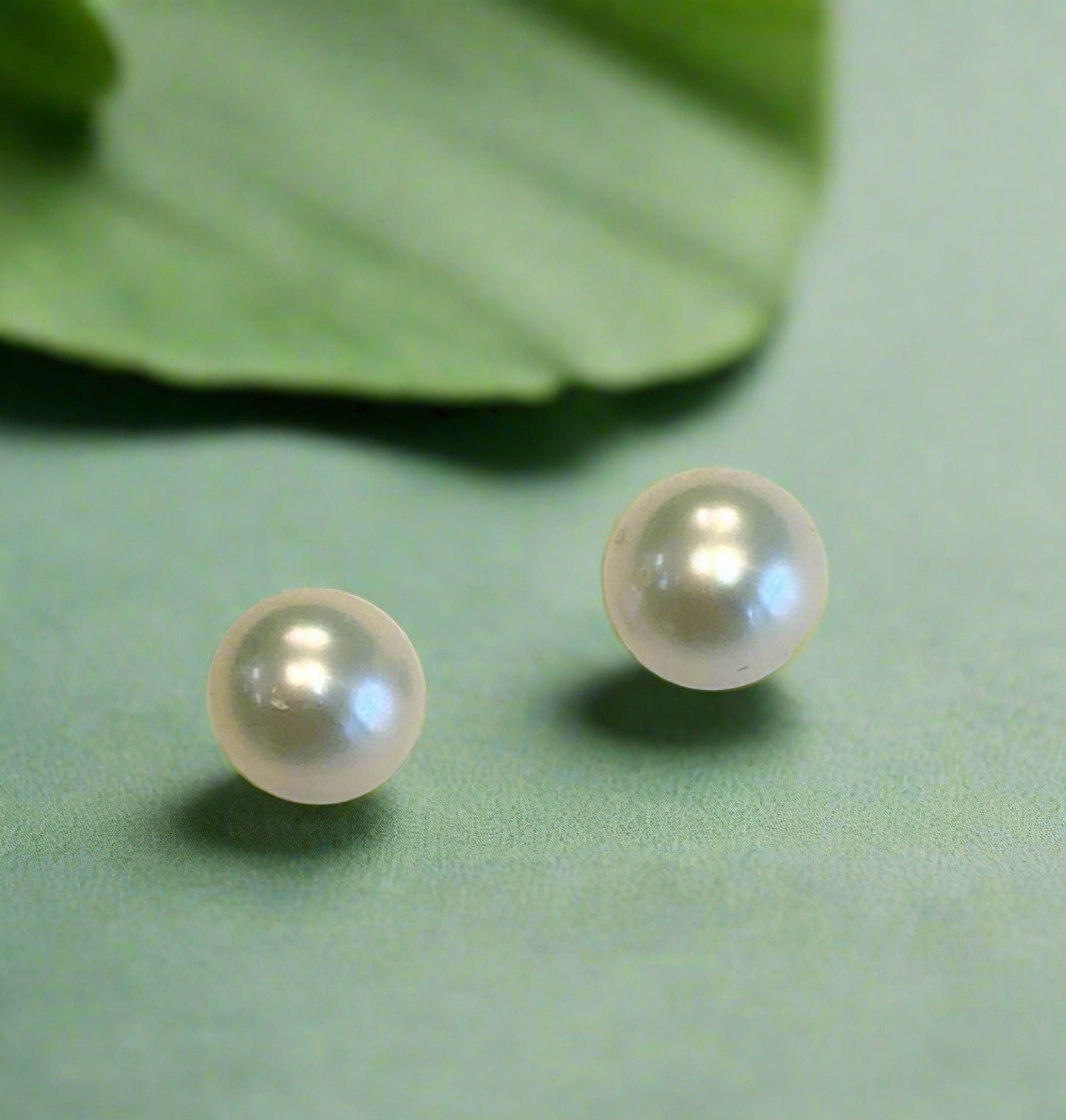 Freshwater Pearl Stud earrings 5-6mm