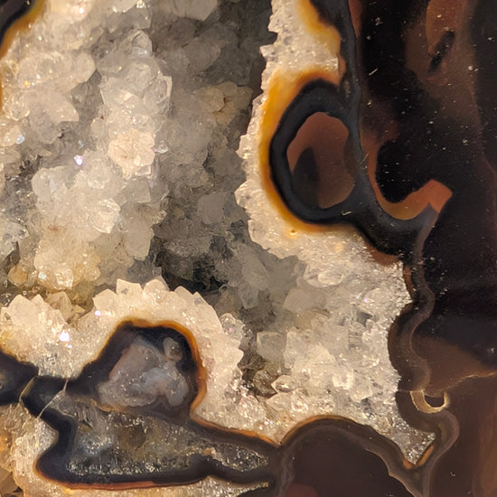 "Root beer" Agate