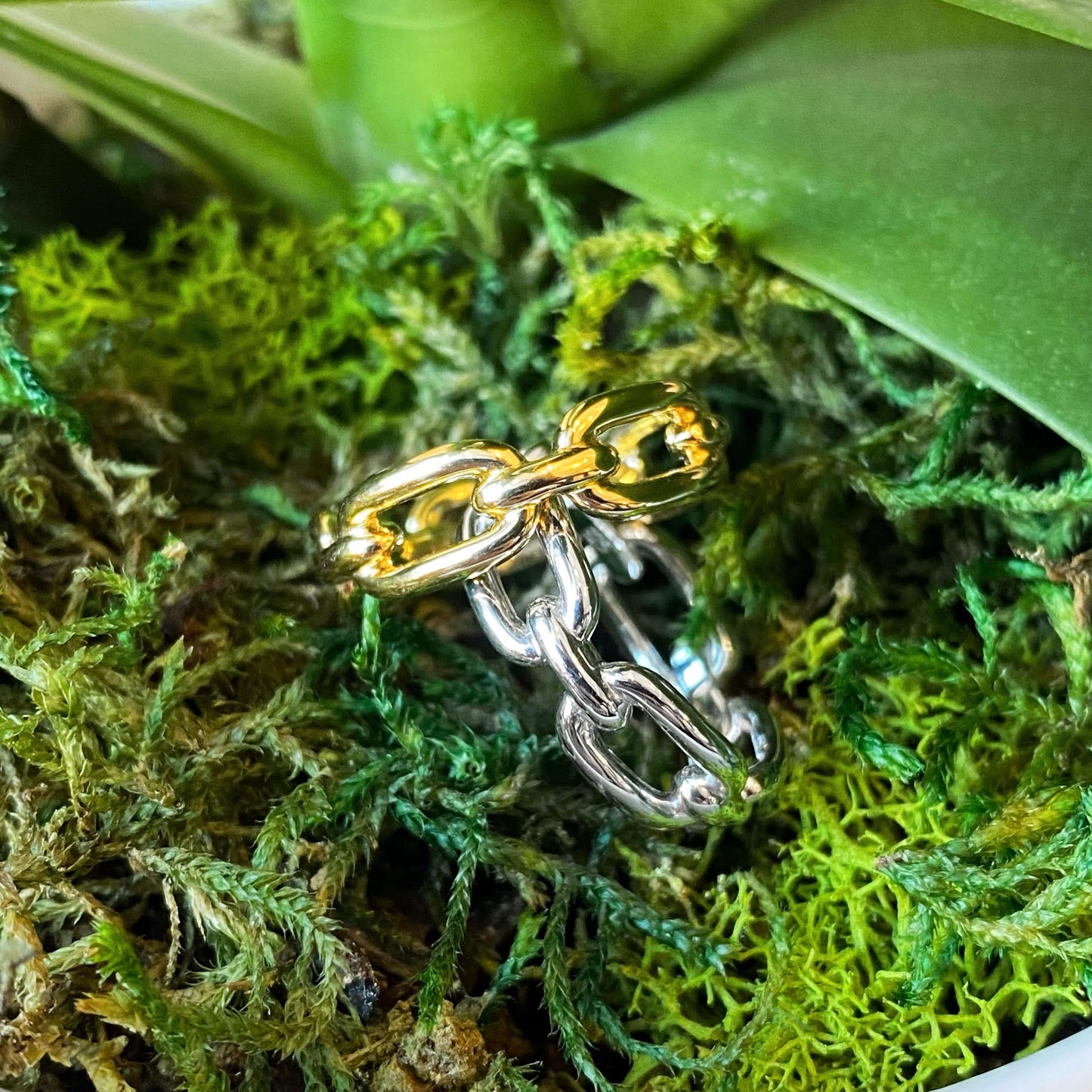 Fancy Link Ring