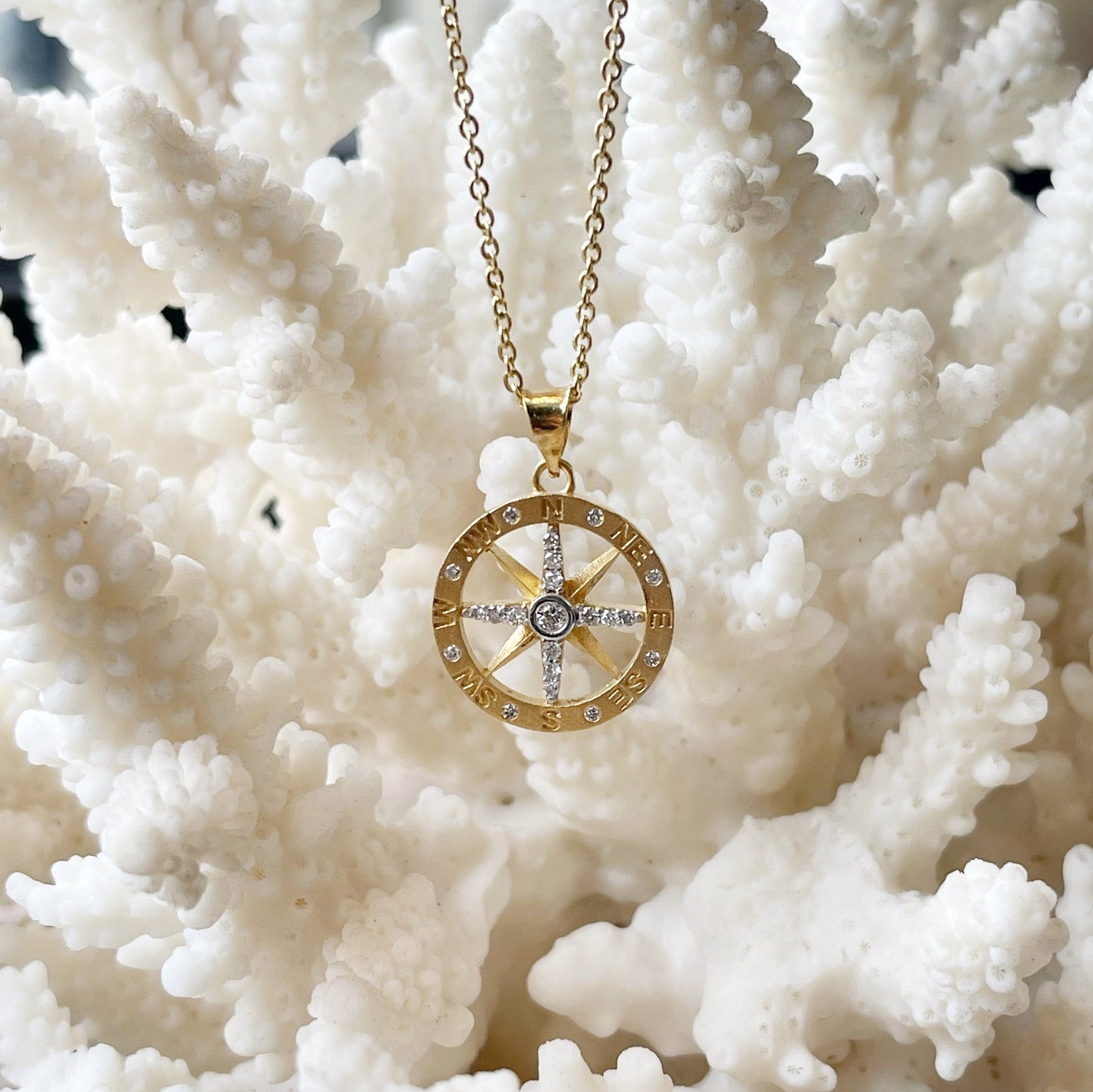 Load image into Gallery viewer, I. Reiss Petite Compass Necklace
